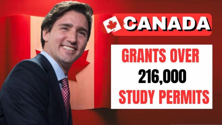 Canada Grants Over 216,000 Study Permits in First Five Months of 2024/25