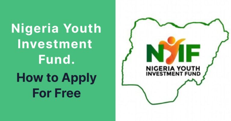 NYIF N110 Billion in 2024, Application Process & Requirements